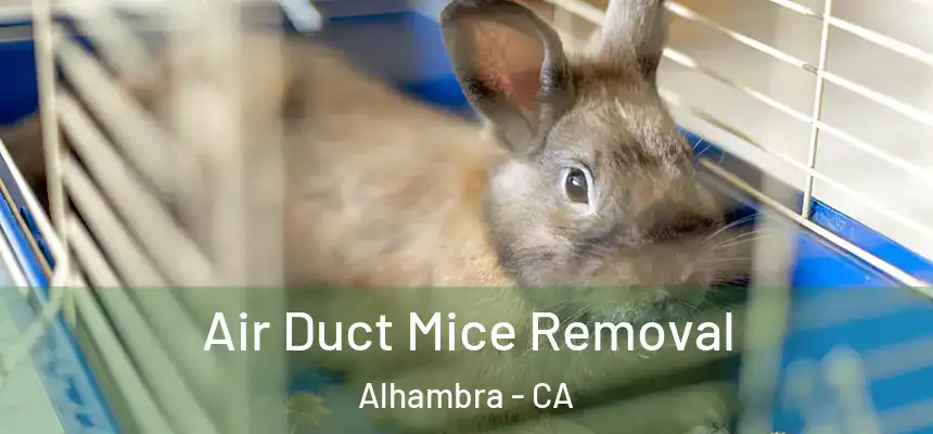 Air Duct Mice Removal Alhambra - CA