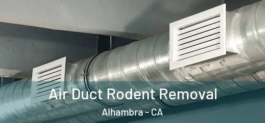  Air Duct Rodent Removal Alhambra - CA