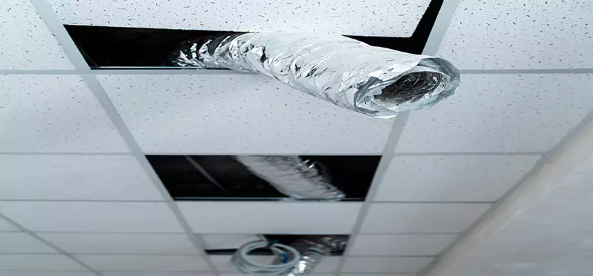 Our Air Duct Pet Hair Removal Services in Alhambra, CA