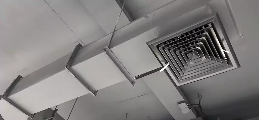 Our Pest Removal From Ducts Services in Alhambra, CA