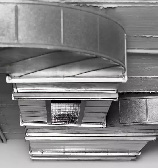 Professional Air Duct Pest Removal in Alhambra, CA