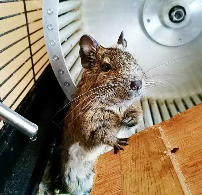 Why Homeowners & Businesses Trust Us Alhambra, CA?