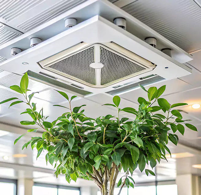 Why Homeowners & Businesses Trust Us in Alhambra, CA